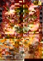 动漫《西行纪2022》免费观看完整版高清全集在线播放